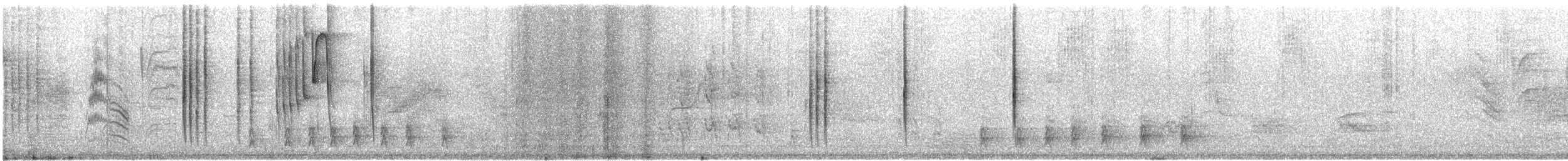 Schwarzstirn-Saphirkolibri - ML418622031