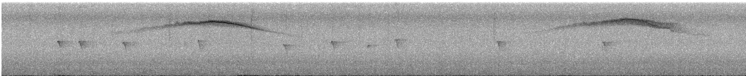 Costa's Hummingbird - ML418694711