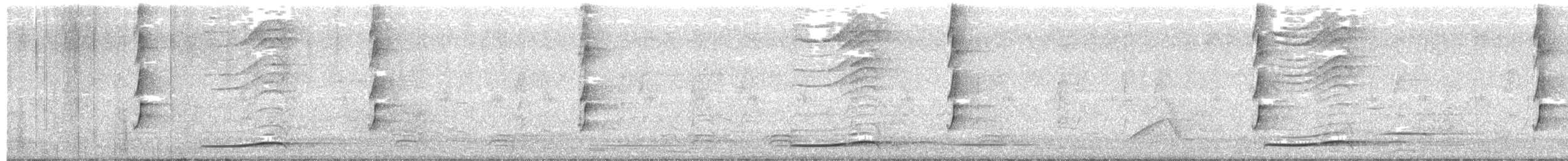 Тихоокеанский коэль - ML41873661