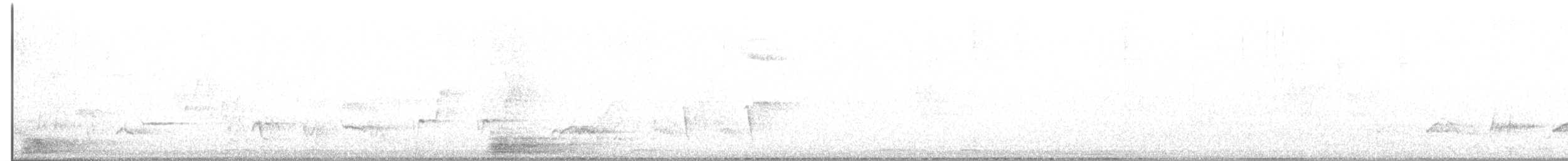new world oriole sp. - ML418864261