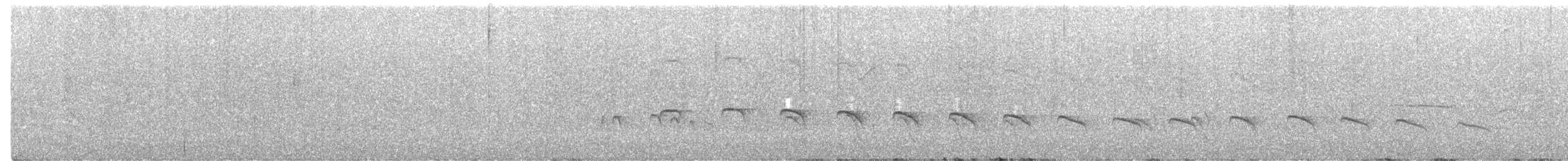 Blassspitzen-Tachurityrann - ML419031211