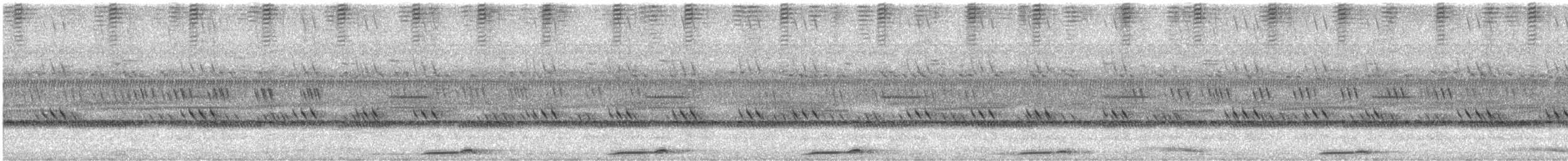 Сова-голконіг темнопера - ML419211831