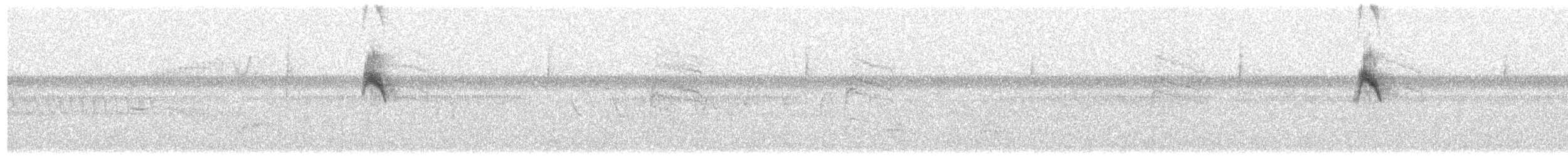 Schieferrücken-Königstyrann - ML419250031