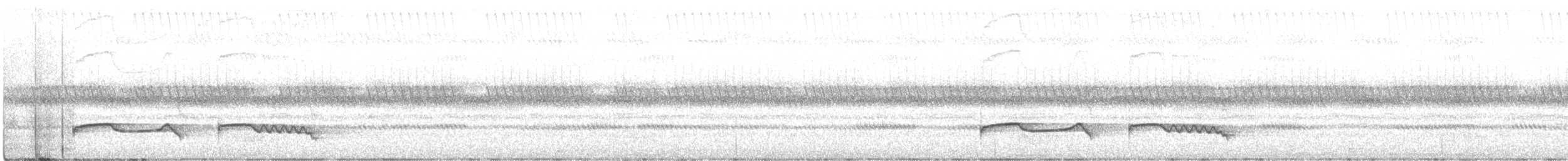 Chotacabras Montano (poliocephalus) - ML419250801