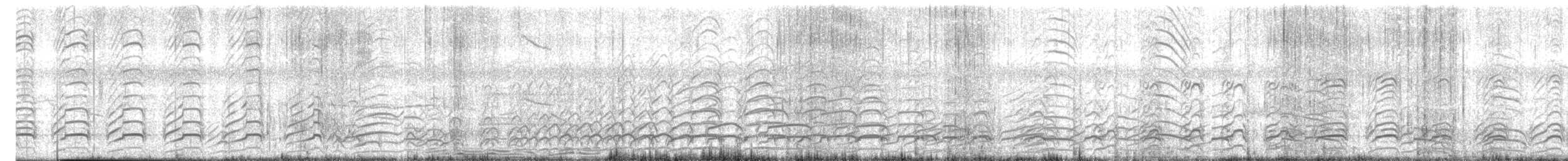 Seeschwalbe, unbestimmt - ML419271311