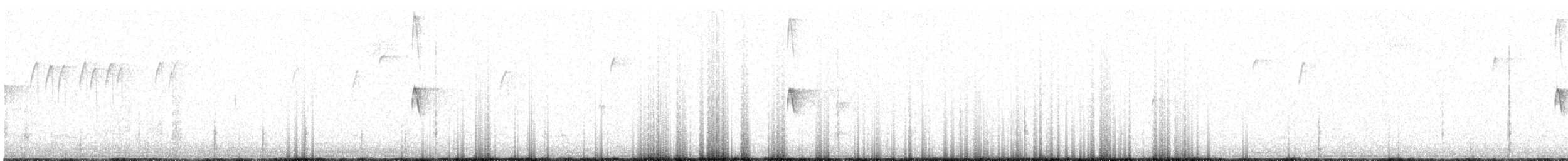 Black Phoebe - ML419355991