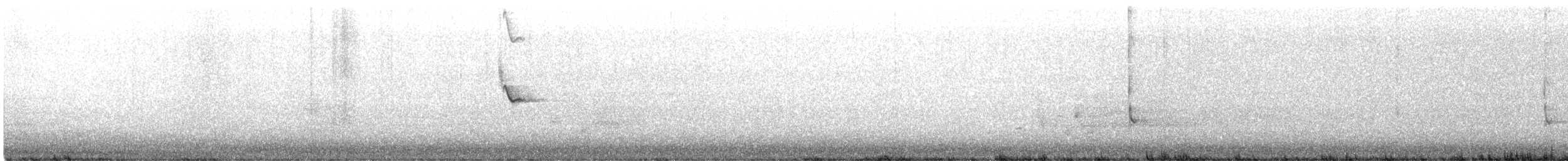 Al Kanatlı Karatavuk [phoeniceus grubu] - ML419365831