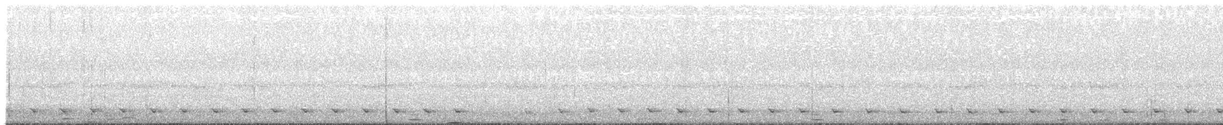Chevêchette australe - ML419514101