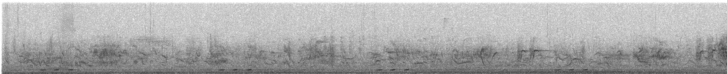 Одуд євразійський (підвид senegalensis/waibeli) - ML419530491