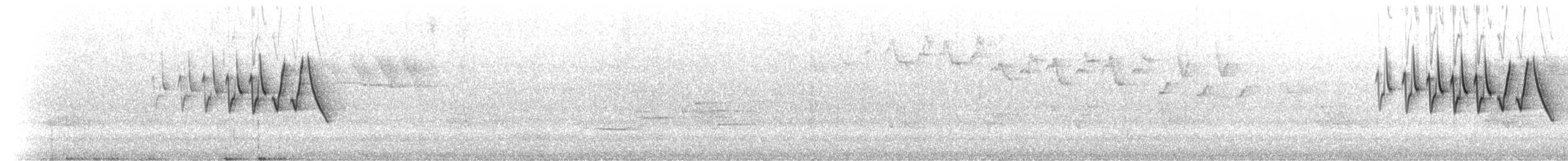 Chestnut-sided Warbler - ML419579801