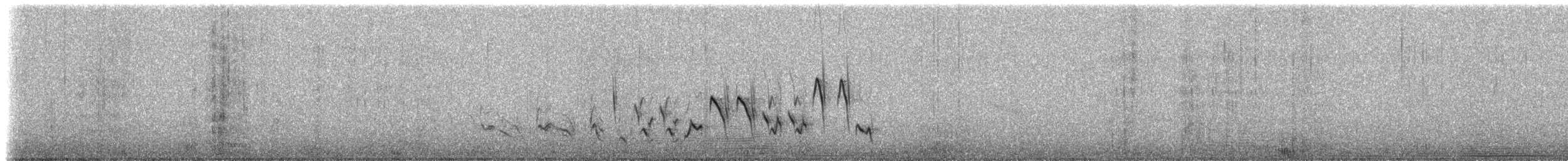 hussmett (musculus gr.) - ML41964011