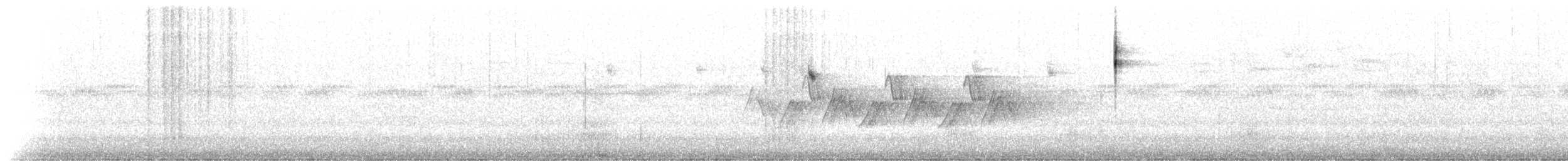 Pine Warbler - ML419659191