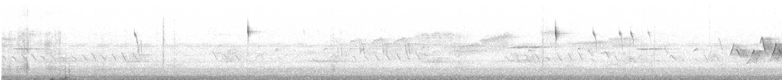 Pine Warbler - ML419659541