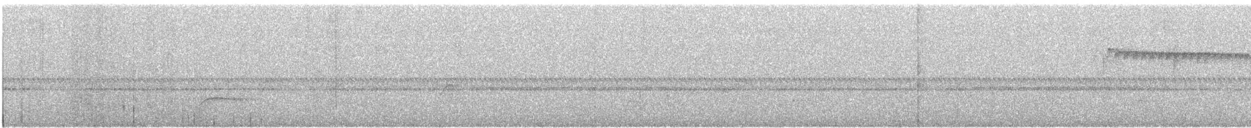 Picumne frangé - ML419699401