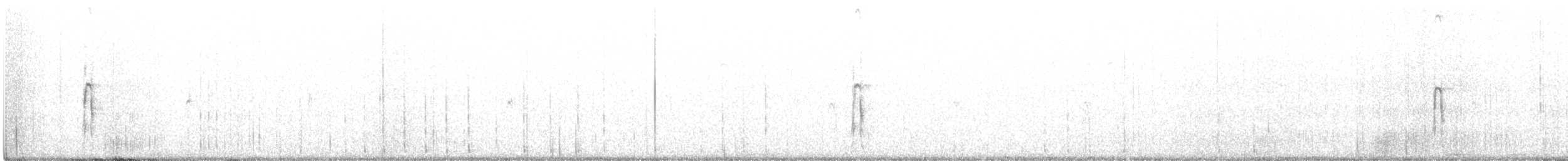 Hairy Woodpecker - ML419711391