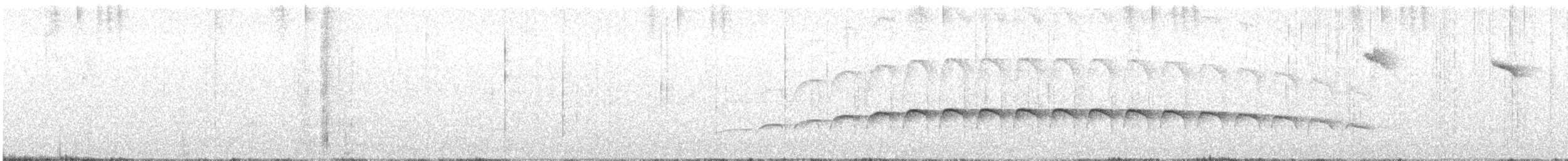 Large-tailed Antshrike - ML419753061