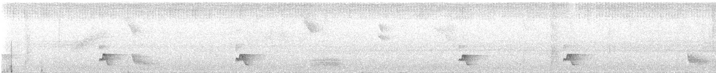 Swallow-tailed Manakin - ML419753371