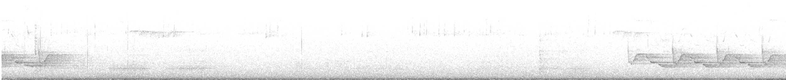 Поплітник каролінський - ML419770931