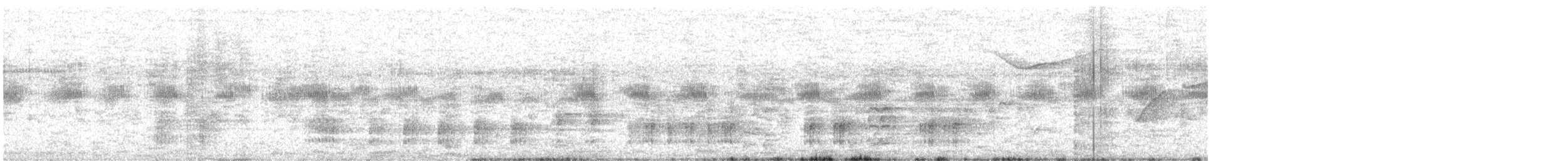 Great Reed Warbler - ML419771731