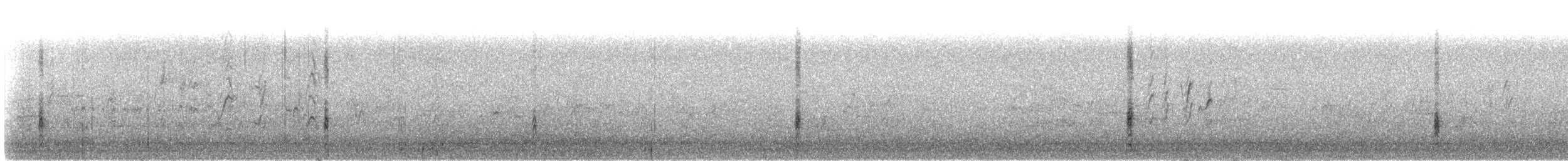 Zanate Marismeño (torreyi/alabamensis) - ML419804321