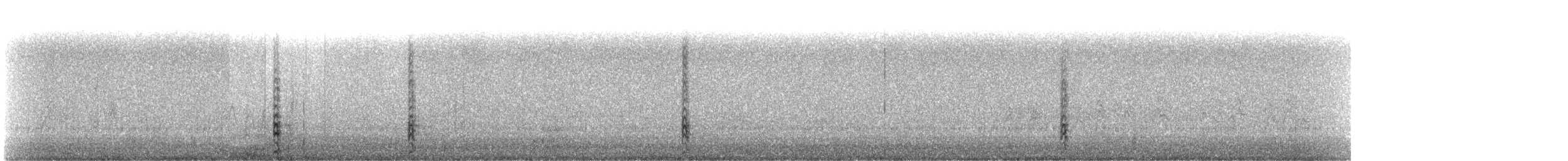 Лодкохвостый гракл (torreyi/alabamensis) - ML419805501