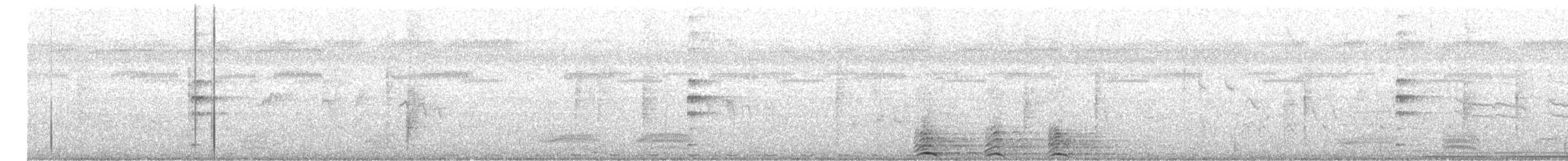 灰胸秧雞 - ML419810661