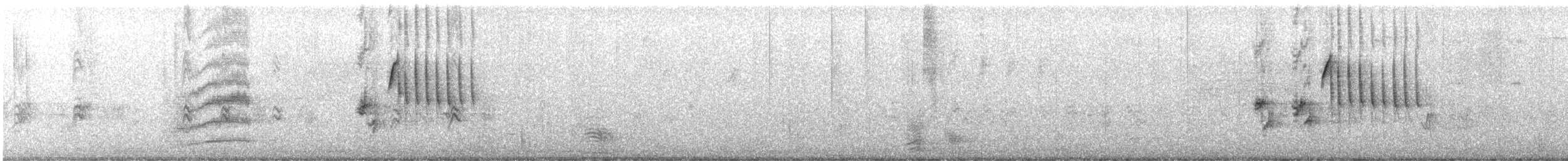 Тауї плямистий - ML419919001