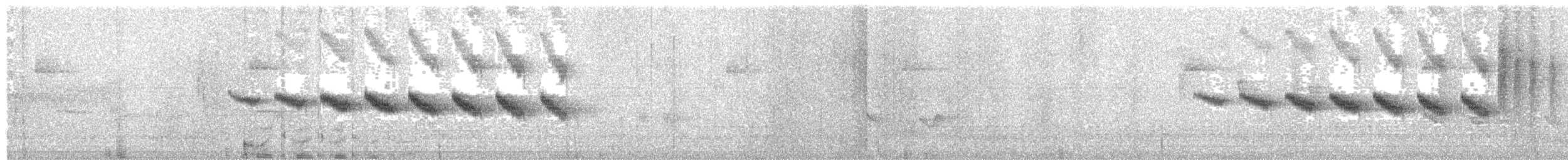 Star-throated Antwren - ML420023511