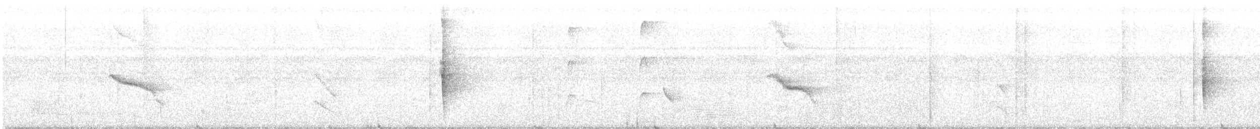 Fleckenflügel-Ameisenwürger - ML420103031