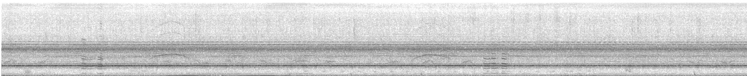 Острохвостый ибис - ML420111831