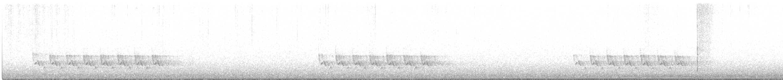 Поплітник каролінський - ML420152351