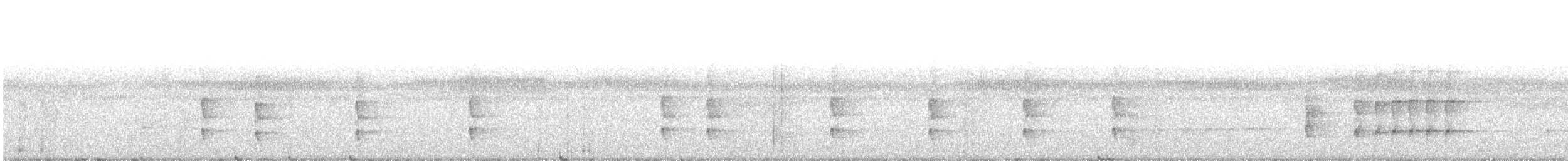 Weißaugen-Todityrann - ML420172271