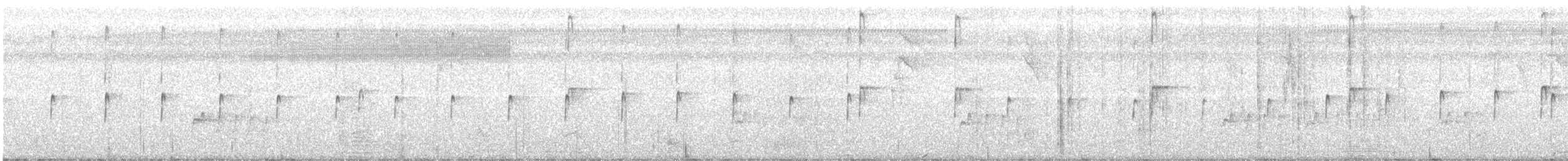 Weißring-Maskentyrann - ML420174231