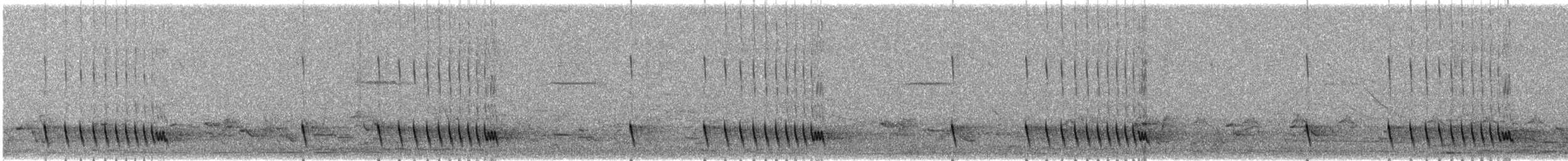 Indiennachtschwalbe - ML420347371