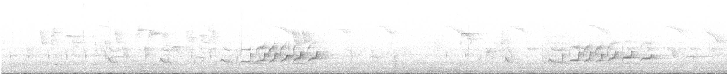 Common Woodshrike - ML420356801