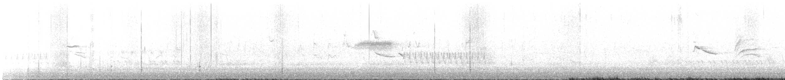 Bewick's Wren - ML420371511