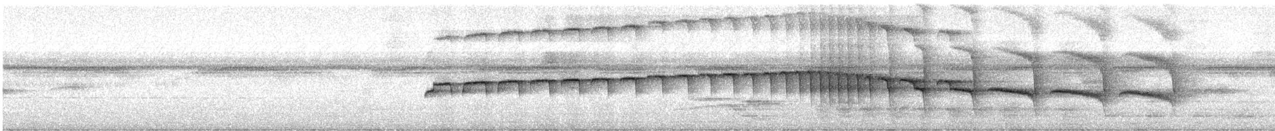 Hormiguero Ocelado - ML420421731