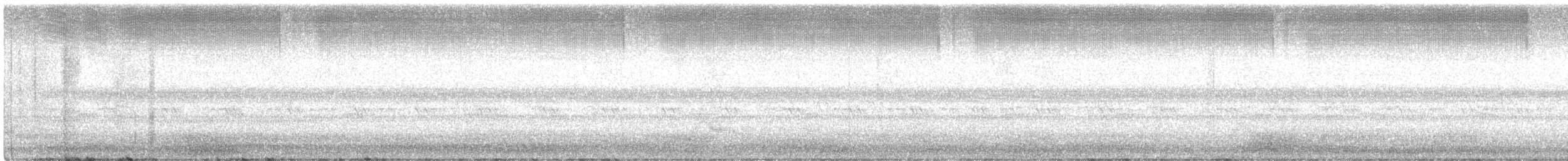 Pauraquenachtschwalbe - ML420485571