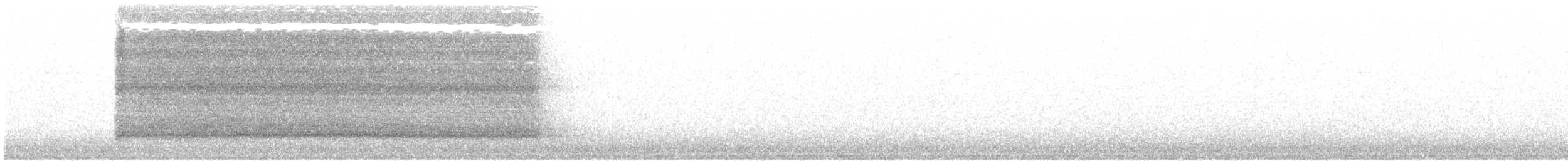 Сипуха крапчаста - ML42050021