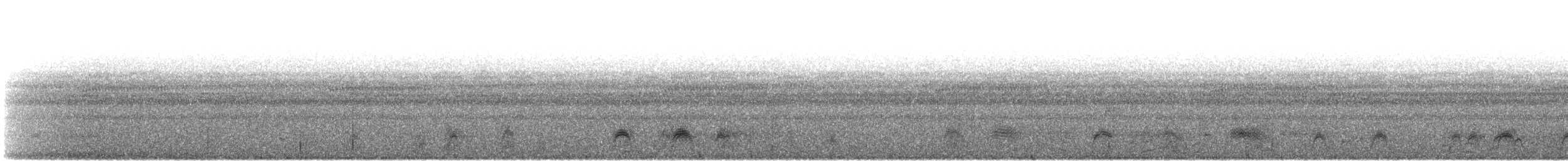 Bindenschwanz-Nachtschwalbe (latifascia) - ML420501431