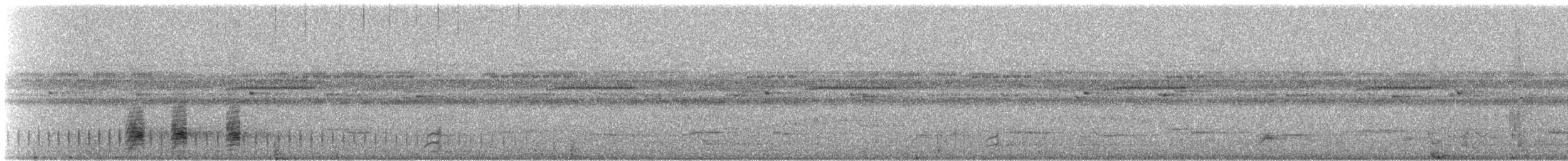 Bindenschwanz-Nachtschwalbe (latifascia) - ML420502171