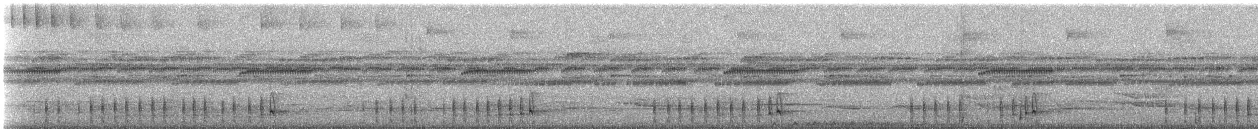 dryadenatthauk (latifascia) - ML420502241