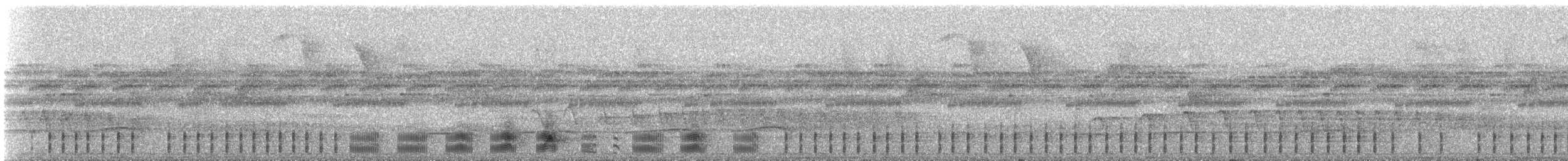 dryadenatthauk (latifascia) - ML420502411