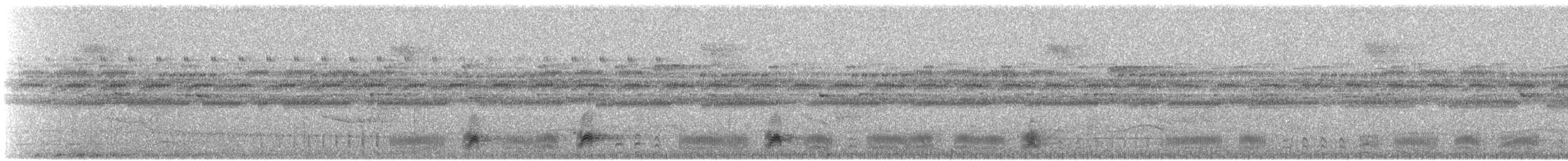 dryadenatthauk (latifascia) - ML420502461