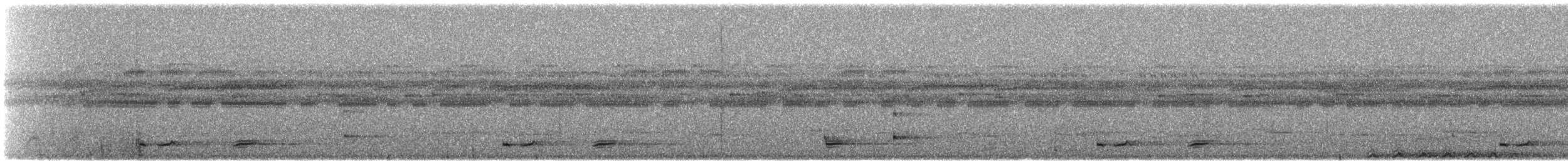 Bindenschwanz-Nachtschwalbe [leucopyga-Gruppe] - ML420503651