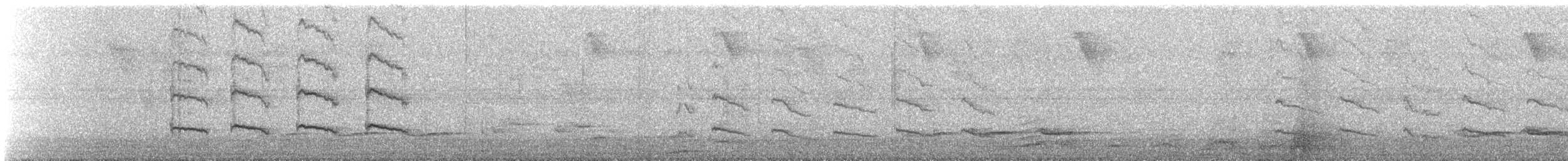 Braunscheitel-Tachurityrann - ML420513031