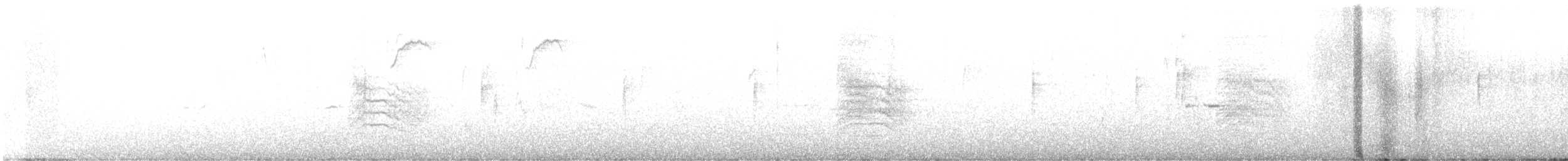 Пересмішник сірий - ML420528291