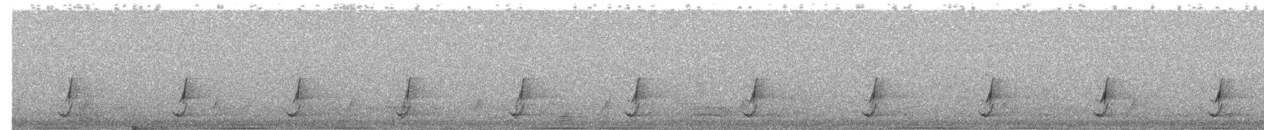 斑胸秧雞 - ML42056201