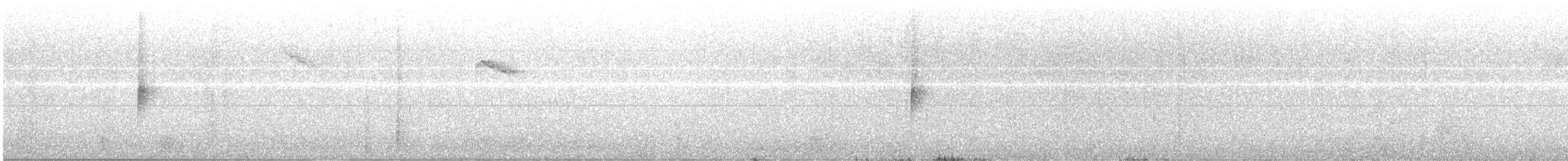 Светлокрылая трясохвостка - ML420657991