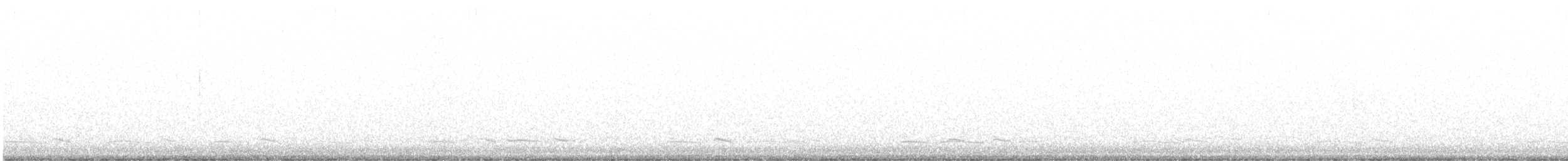 Winternachtschwalbe - ML420720011